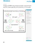 Cover page: Single-cell RNA-seq analysis reveals compartment-specific heterogeneity and plasticity of microglia.