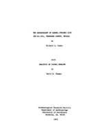 Cover page: The Archaeology of Barrel Springs Site (Nv-Pe-104), Pershing County, Nevada