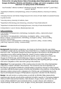 Cover page of Protocol for a Scoping Review: State of knowledge about <em>Rhipicephalus sanguineus</em> lineages distribution, Ehrlichia and Rickettsia carriage, and vector competence in the Americas: A scoping review of the literature.