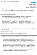 Cover page: Characterization of Novel Transcripts in Pseudorabies Virus