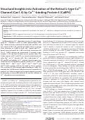 Cover page: Structural Insights into Activation of the Retinal L-type Ca2+ Channel (Cav1.4) by Ca2+-binding Protein 4 (CaBP4)*