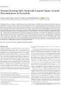 Cover page: Neurons Forming Optic Glomeruli Compute Figure–Ground Discriminations in Drosophila