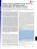 Cover page: Different modes of endothelial–smooth muscle cell interaction elicit differential β-catenin phosphorylations and endothelial functions