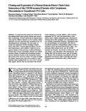 Cover page: Cloning and expression of a human kinesin heavy chain gene: interaction of the COOH-terminal domain with cytoplasmic microtubules in transfected CV-1 cells