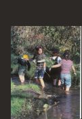 Cover page: Urban Parks:  Transformation, Culture, Ecology     [Portfolio]