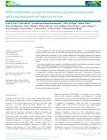 Cover page: DNA methylation and gene expression regulation associated with vascularization in Sorghum bicolor