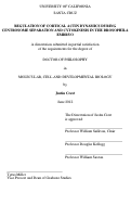 Cover page: REGULATION OF CORTICAL ACTIN DYNAMICS DURING CENTROSOME SEPARATION AND CYTOKINESIS IN THE DROSOPHILA EMBRYO