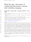 Cover page: Mind the gap: the power of combining photometric surveys with intensity mapping