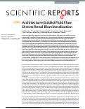 Cover page: Architecture-Guided Fluid Flow Directs Renal Biomineralization