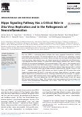 Cover page: Hippo Signaling Pathway Has a Critical Role in Zika Virus Replication and in the Pathogenesis of Neuroinflammation