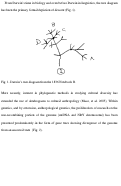 Cover page: Genetic Dendrograms and Malaysian Population History