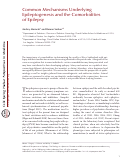 Cover page: Common Mechanisms Underlying Epileptogenesis and the Comorbidities of Epilepsy