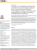 Cover page: Evaluation of Proctophyllodes huitzilopochtlii on feathers from Anna’s (Calypte anna) and Black-chinned (Archilochus alexandri) Hummingbirds: Prevalence assessment and imaging analysis using light and tabletop scanning electron microscopy