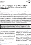 Cover page: A dynamic biomimetic model of the membrane-bound CD4-CD3-TCR complex during pMHC disengagement.