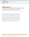 Cover page: Amorphization activated ruthenium-tellurium nanorods for efficient water splitting