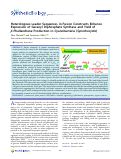 Cover page: Heterologous Leader Sequences in Fusion Constructs Enhance Expression of Geranyl Diphosphate Synthase and Yield of β‑Phellandrene Production in Cyanobacteria (Synechocystis)