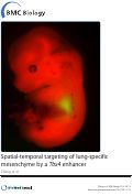 Cover page: Spatial-temporal targeting of lung-specific mesenchyme by a Tbx4 enhancer