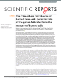 Cover page: The rhizosphere microbiome of burned holm-oak: potential role of the genus Arthrobacter in the recovery of burned soils