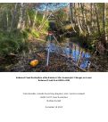 Cover page: Redwood Creek Restoration at the Banducci Site: Geomorphic Changes on Lower Redwood Creek from 2003 to 2022