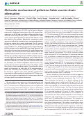 Cover page: Molecular mechanism of poliovirus Sabin vaccine strain attenuation