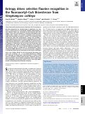 Cover page: Entropy drives selective fluorine recognition in the fluoroacetyl–CoA thioesterase from Streptomyces cattleya