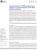 Cover page: Crystal structures of DNA polymerase I capture novel intermediates in the DNA synthesis pathway