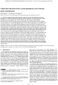 Cover page: Global teleconnections in the oceanic phosphorus cycle: Patterns, paths, and timescales