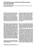 Cover page: 180-kD ribosome receptor is essential for both ribosome binding and protein translocation.