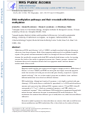 Cover page: DNA methylation pathways and their crosstalk with histone methylation