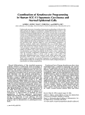 Cover page: Coordination of keratinocyte programming in human SCC‐13 squamous carcinoma and normal epidermal cells