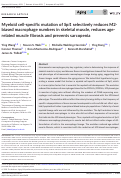 Cover page: Myeloid cell‐specific mutation of Spi1 selectively reduces M2‐biased macrophage numbers in skeletal muscle, reduces age‐related muscle fibrosis and prevents sarcopenia