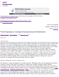 Cover page: TGFβ signaling in cartilage development and maintenance