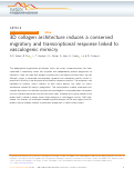 Cover page: 3D collagen architecture induces a conserved migratory and transcriptional response linked to vasculogenic mimicry