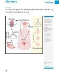 Cover page: A critical signal for phenotype transition driven by negative feedback loops.