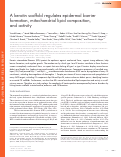 Cover page: A keratin scaffold regulates epidermal barrier formation, mitochondrial lipid composition, and activity