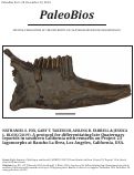 Cover page: A protocol for differentiating late Quaternary leporids in southern California with remarks on Project 23 lagomorphs at Rancho La Brea, Los Angeles, California, USA