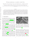 Cover page: Wetting morphologies on randomly oriented fibers