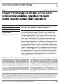 Cover page: The p97/VCP adaptor UBXD1 drives AAA+ remodeling and ring opening through multi-domain tethered interactions