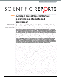 Cover page: A shape-anisotropic reflective polarizer in a stomatopod crustacean