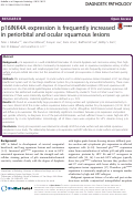 Cover page: p16INK4A expression is frequently increased in periorbital and ocular squamous lesions.