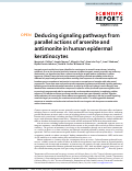 Cover page: Deducing signaling pathways from parallel actions of arsenite and antimonite in human epidermal keratinocytes