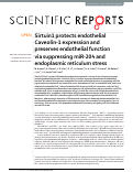 Cover page: Sirtuin1 protects endothelial Caveolin-1 expression and preserves endothelial function via suppressing miR-204 and endoplasmic reticulum stress