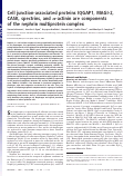 Cover page: Cell junction-associated proteins IQGAP1, MAGI-2, CASK, spectrins, and alpha-actinin are components of the nephrin multiprotein complex