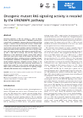 Cover page: Oncogenic mutant RAS signaling activity is rescaled by the ERK/MAPK pathway