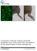 Cover page: Comparative molecular analyses of Borrelia burgdorferi sensu stricto strains B31 and N40D10/E9 and determination of their pathogenicity