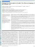Cover page: Endogenous fluorophores enable two-photon imaging of the primate eye.