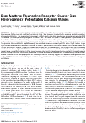 Cover page: Size Matters: Ryanodine Receptor Cluster Size Heterogeneity Potentiates Calcium Waves