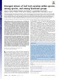 Cover page: Divergent drivers of leaf trait variation within species, among species, and among functional groups