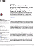 Cover page: Investigation of Proposed Ladderane Biosynthetic Genes from Anammox Bacteria by Heterologous Expression in E. coli