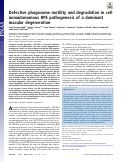 Cover page: Defective phagosome motility and degradation in cell nonautonomous RPE pathogenesis of a dominant macular degeneration